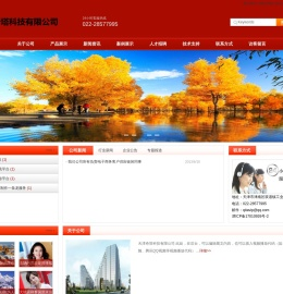 天津奇塔科技有限公司