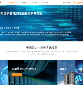智能DNS设备