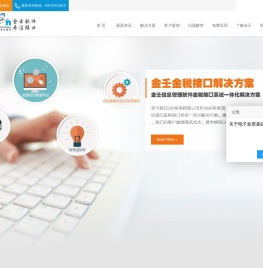 上海金壬税控接口首页