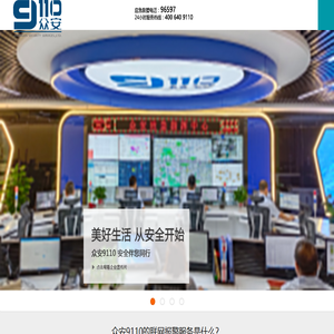 山东众安9110
