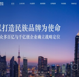 东极定位咨询
