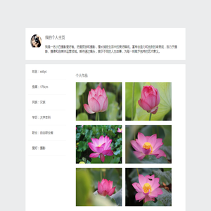 冒牌码农