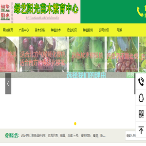 饮料配方研发