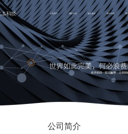 专注于为中小企业提供业务信息化