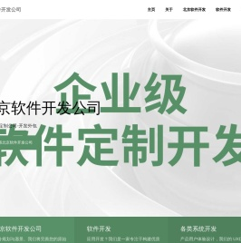 北京软件定制公司