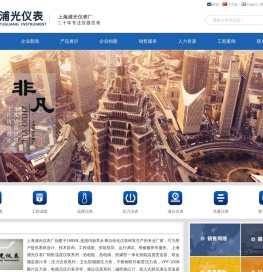 上海浦光仪表厂