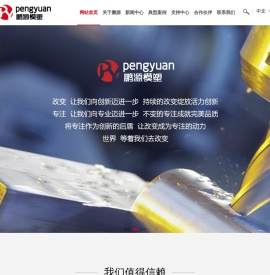 台州市鹏源模塑有限公司