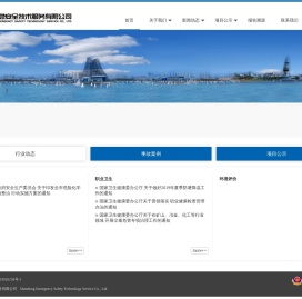 山东应急安全技术服务有限公司