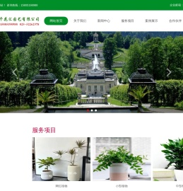 网红南京绿植租赁