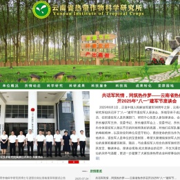 网站首页
