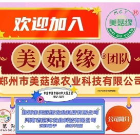 食用菌高产特技发明个人主页