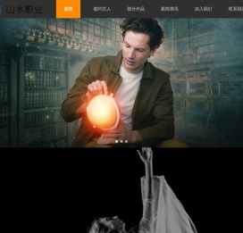 山东山水影业有限公司