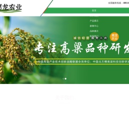 黑龙江省讷河市惠龙农业科技开发有限公司丨惠龙农业丨高粱丨糯高粱丨高粱种子丨糯高粱种子