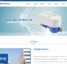 重庆智慧水务有限公司【官网】