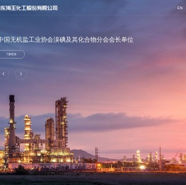 山东海王化工股份有限公司