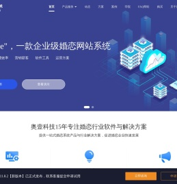 婚恋系统