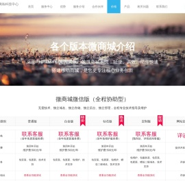 北京鼎安泽网络科技中心