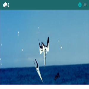 煦象