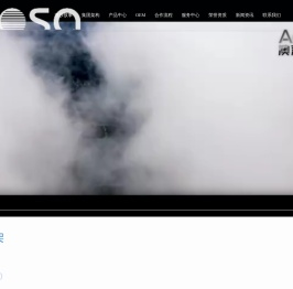 广东澳莎控股集团有限公司