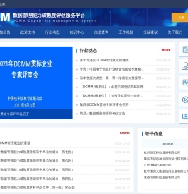 数据管理能力成熟度评估
