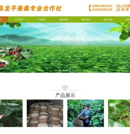 射阳县龙平蚕桑专业合作社