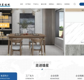 广东雄星控股集团有限公司