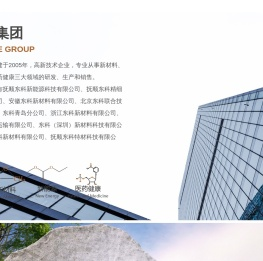 东科集团
