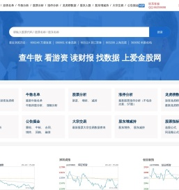 爱金股