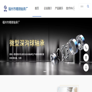 福州市精微轴承厂