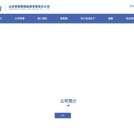 山东希格斯新能源有限责任公司