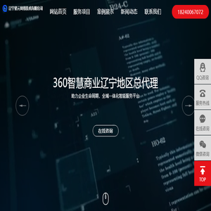 辽宁星元网络