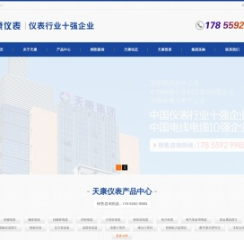 天康仪表