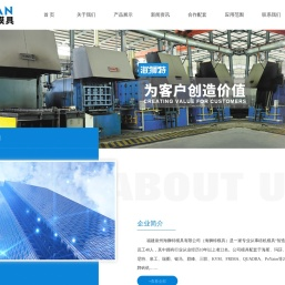 福建泉州海狮特模具有限公司