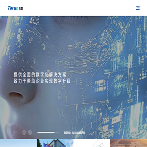 塔森网站定制开发