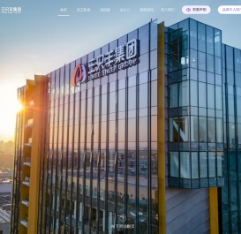 三只羊集团