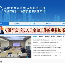 麻城市城发资本运营有限公司