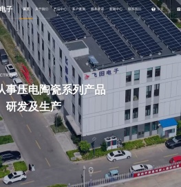 寿光市飞田电子有限公司