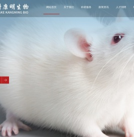 细胞实验外包