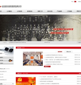 山东耐火材料集团有限公司：山东耐材