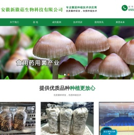 合肥食用药用菌种植