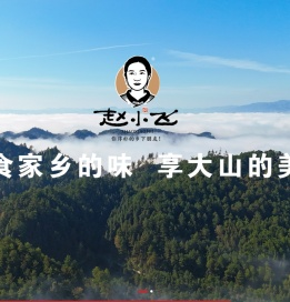 乡间赵小飞