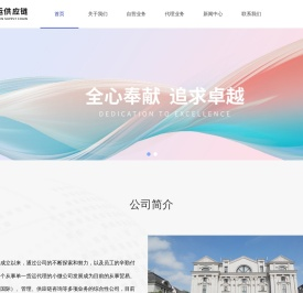 上海朗运供应链管理有限公司