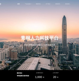 青桐盛夏科技有限公司