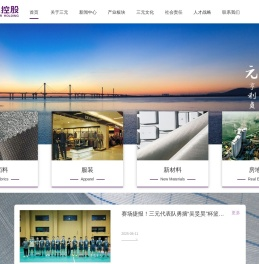 三元控股集团有限公司