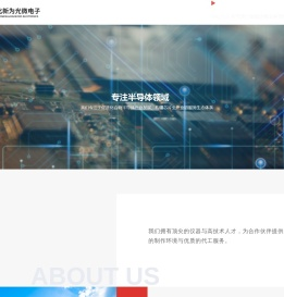 湖北新为光微电子有限公司