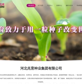 河北兆育种业集团有限公司
