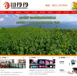山丹丹苦荞茶