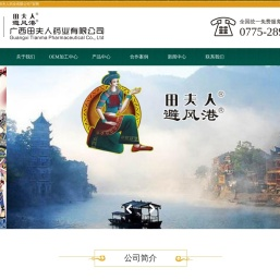 广西田夫人药业有限公司