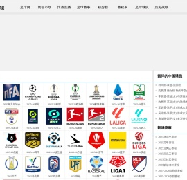 搜坪足球网