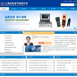 电导盐密度测试仪,HLY